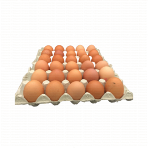 Oeufs de la ferme de Neufchef